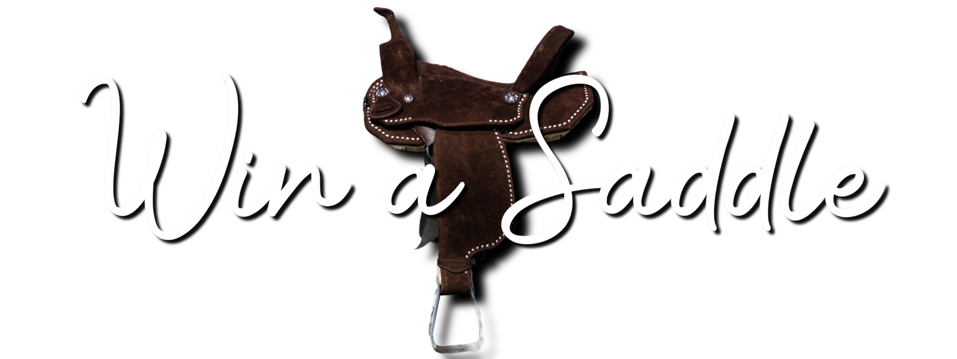 Horse Boss Challenge