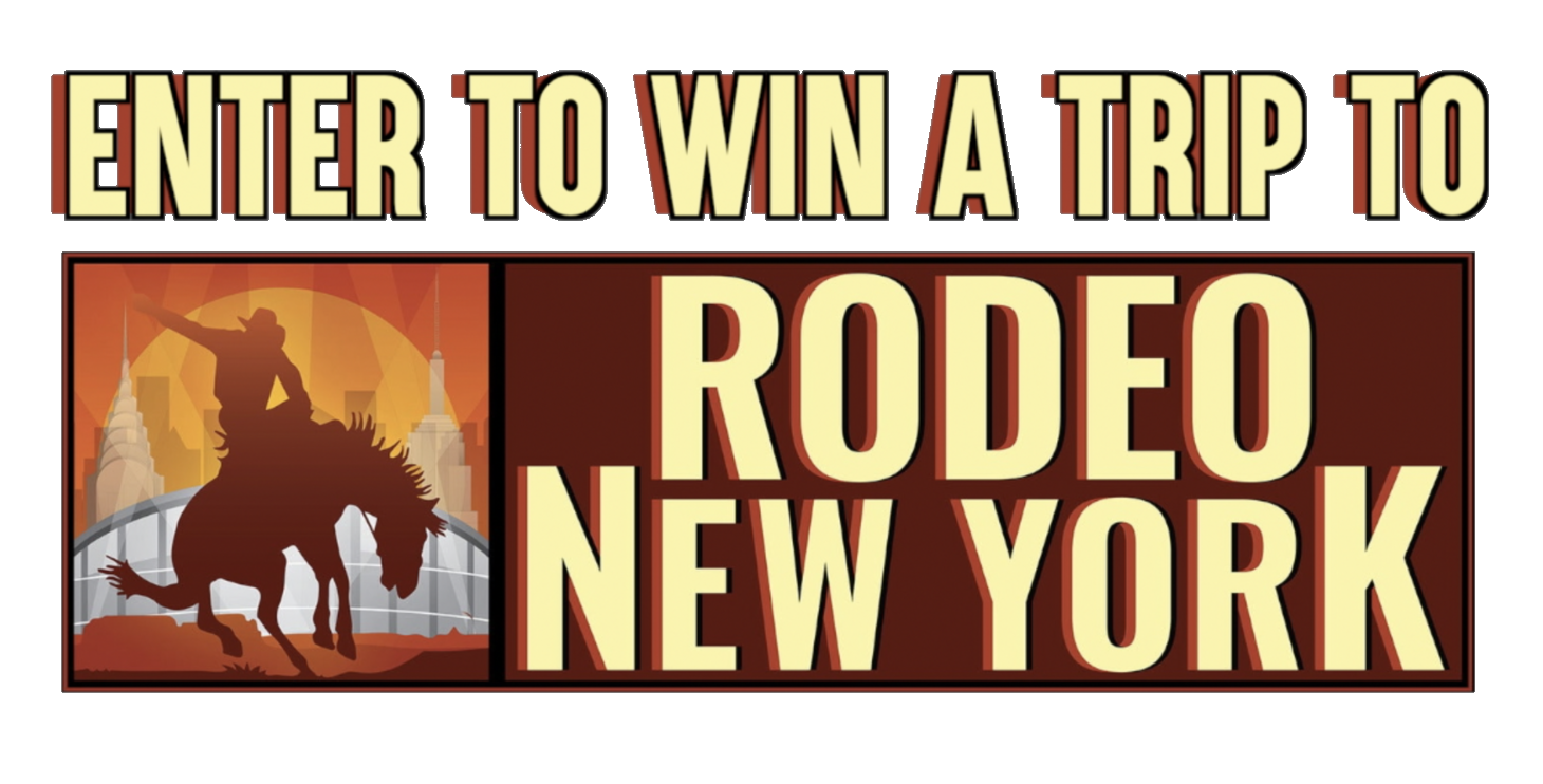 HORSE BOSS CHALLENGE