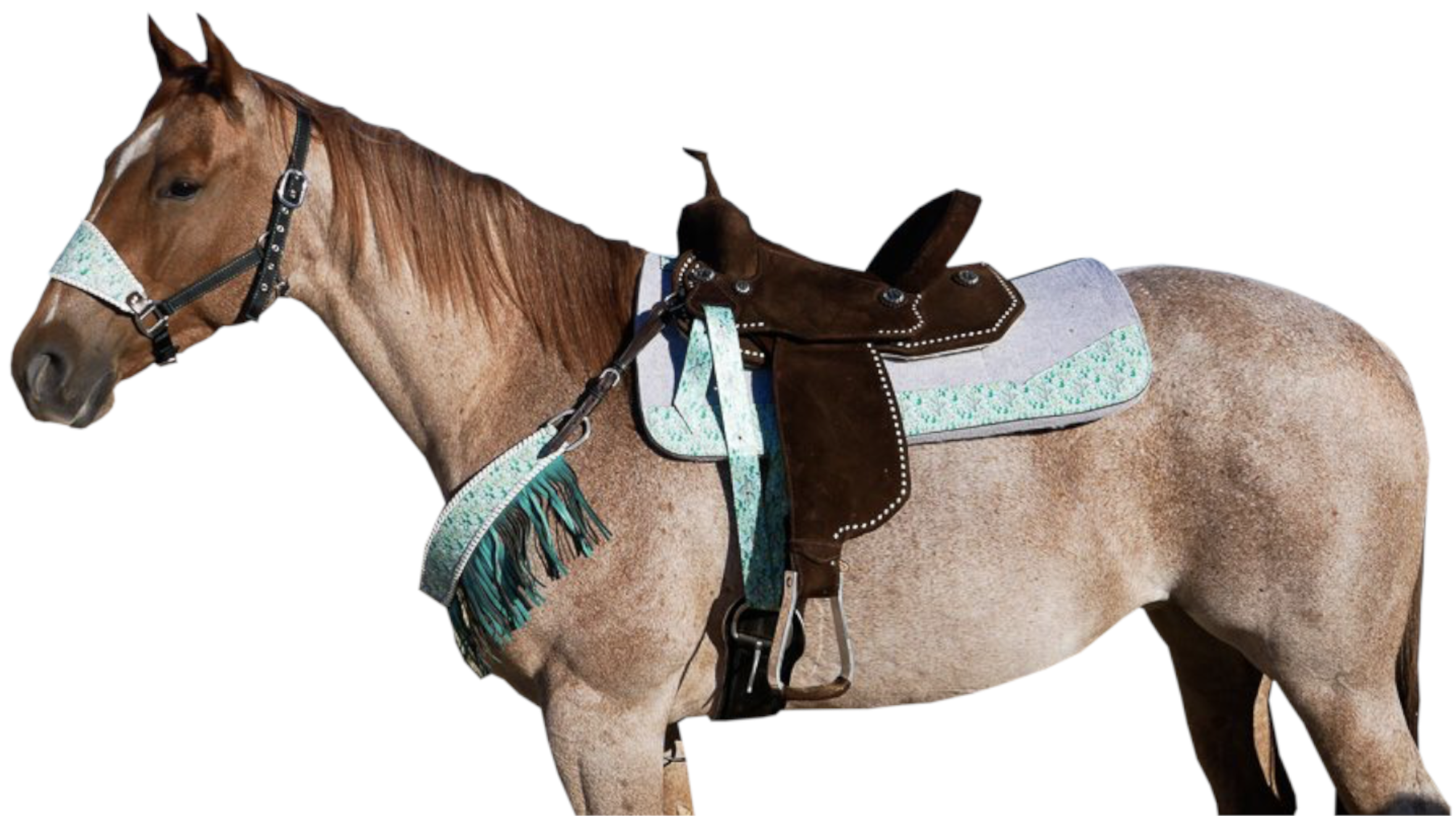 HORSE BOSS CHALLENGE